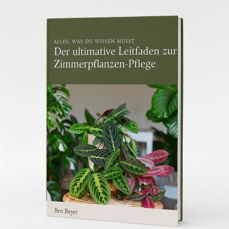 Überraschungsbox (5 Stück) - 25cm Detail