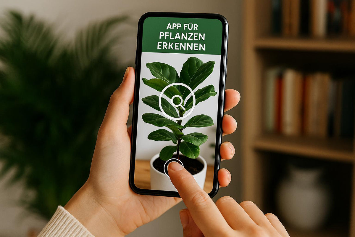 Apps für Pflanzenbestimmung: Dein Schlüssel zur Natur