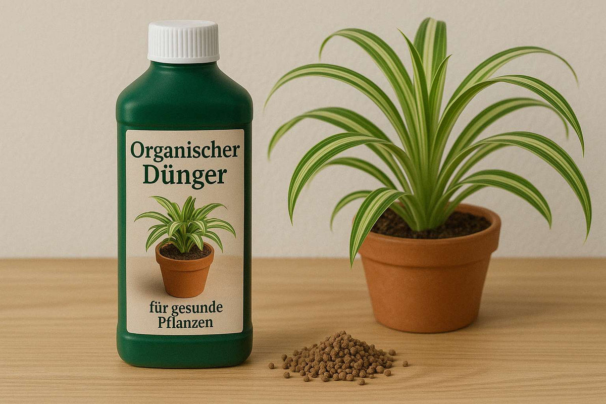 Organischer Dünger: Dein Schlüssel zu gesunden Pflanzen
