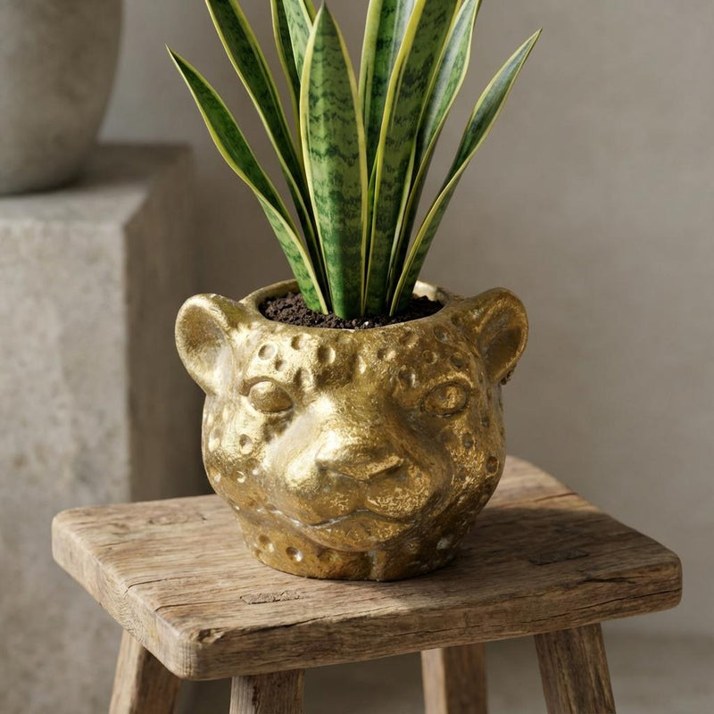 Übertopf Leopard Gold – Ø12cm Detail