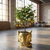 Übertopf Elefant Gold – Ø12cm