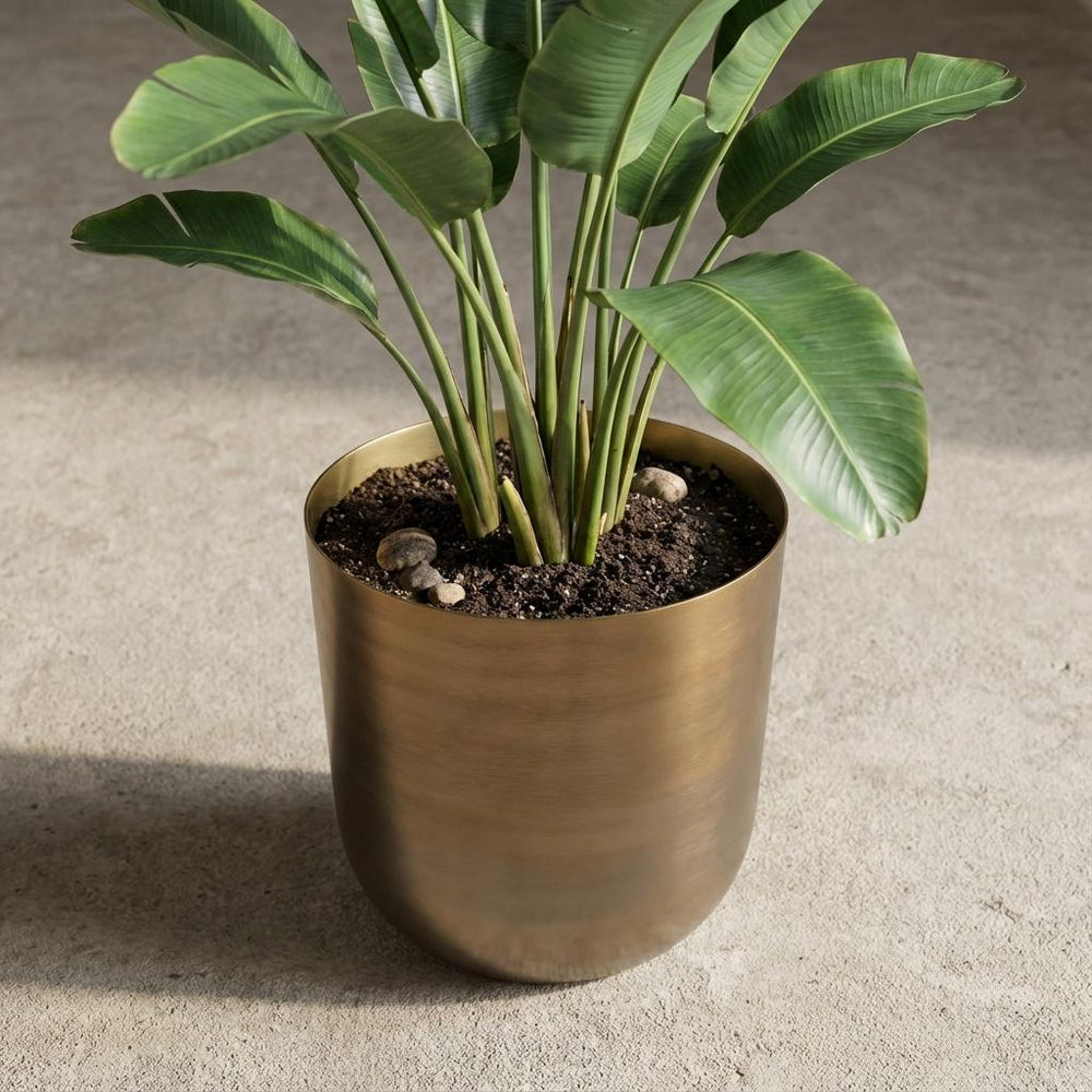 Mayk Gold – Ø20cm