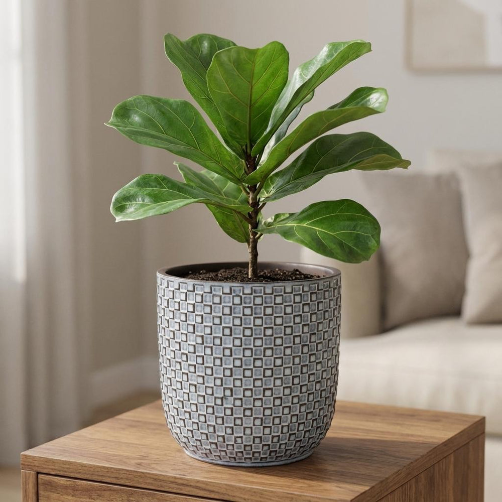 Minitopf Relief Blau – Ø7cm