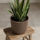 Nature Groove Warm Taupe – Ø22cm