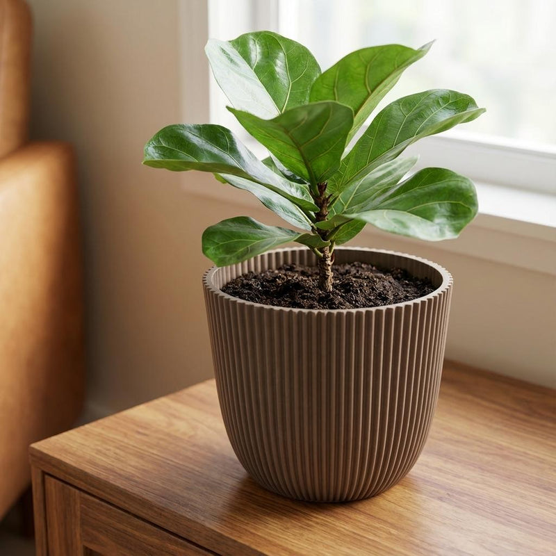 Nature Groove Warm Taupe – Ø17cm Detail