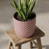 Minitopf Relief Rosa – Ø7cm