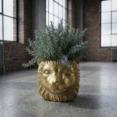 Übertopf Löwe Gold – Ø13cm