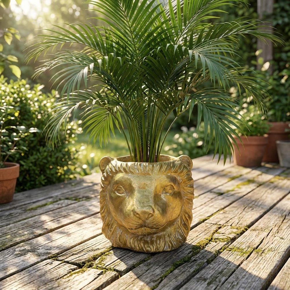 Übertopf Löwe Gold – Ø13cm