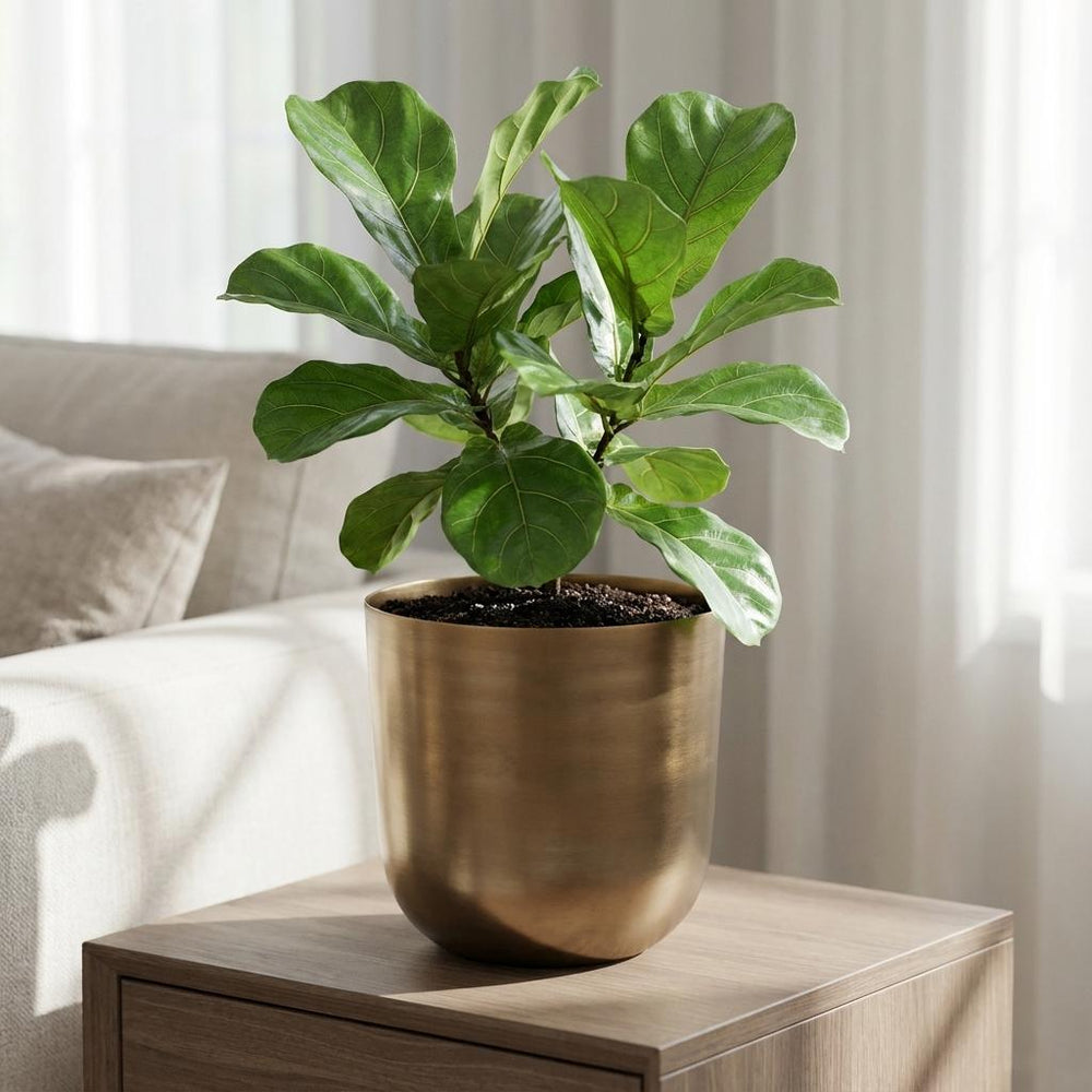 Mayk Gold – Ø20cm