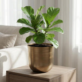 Mayk Gold – Ø20cm