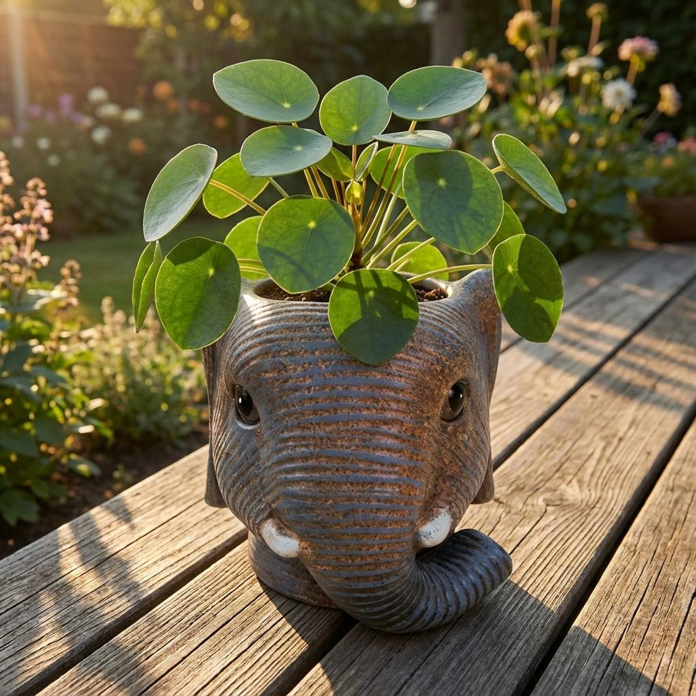 Übertopf Elefant Grau – Ø12cm
