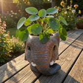 Übertopf Elefant Grau – Ø12cm