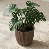 Nature Groove Warm Taupe – Ø17cm