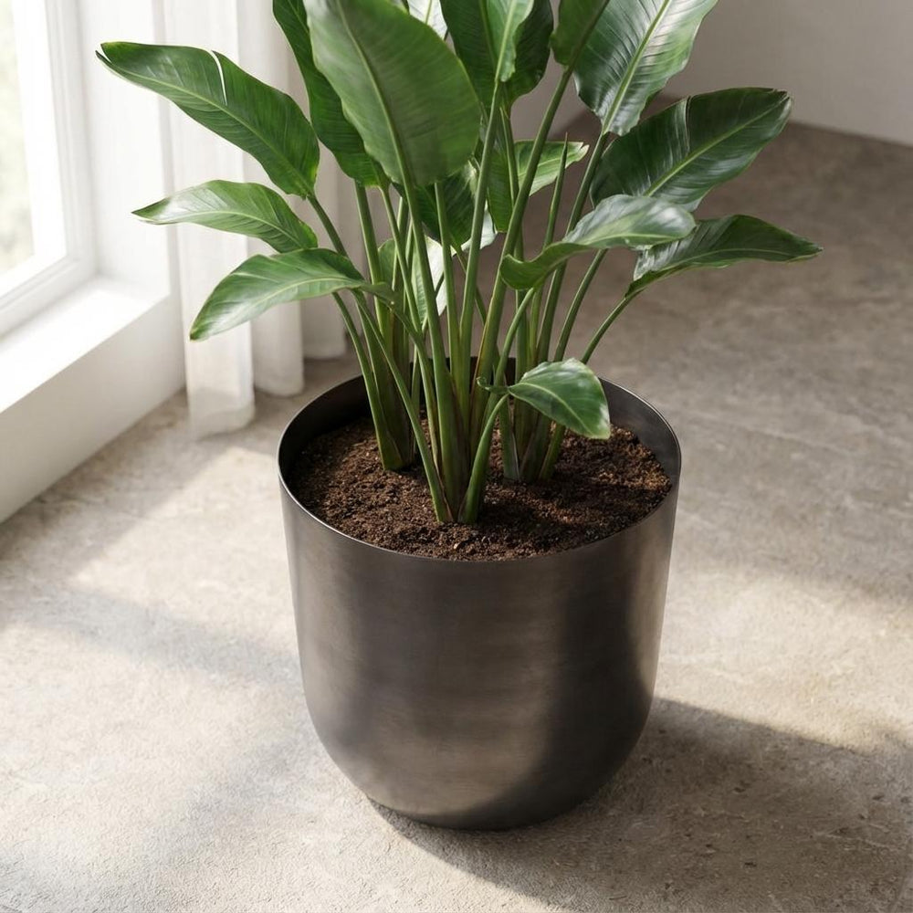 Mayk Bleigrau – Ø20cm