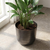 Mayk Bleigrau – Ø20cm