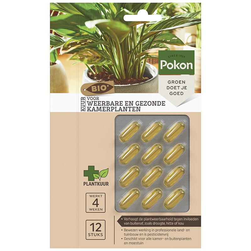 Bio Cure für widerstandsfähige und gesunde Zimmerpflanzen Kapseln - 12 Stück