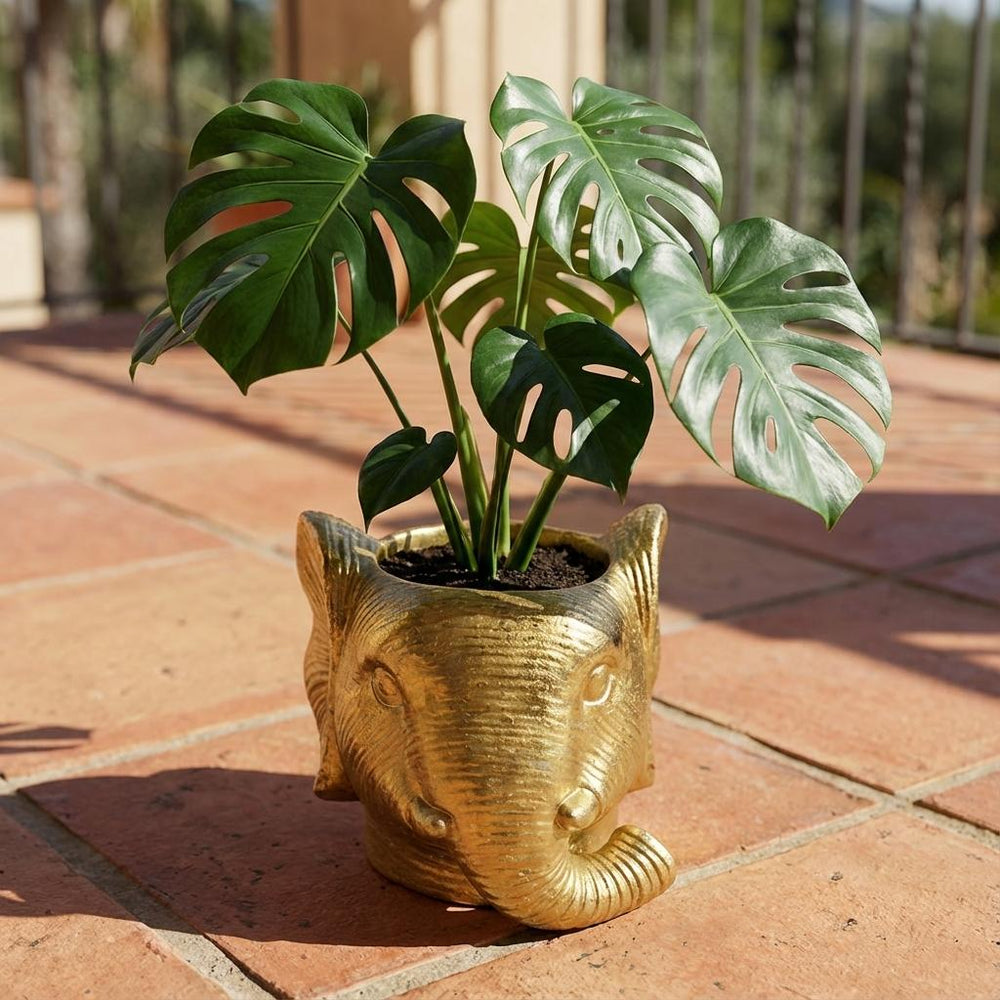 Übertopf Elefant Gold – Ø12cm
