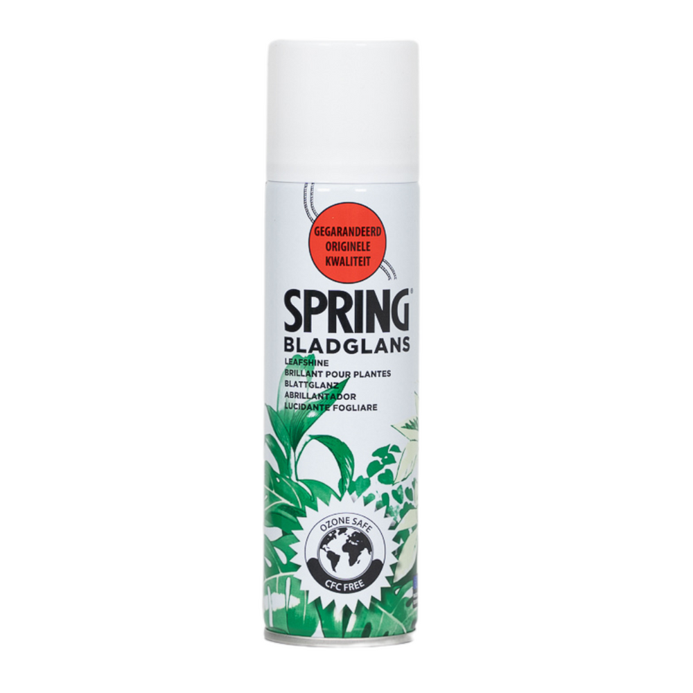 Glanz des Blattes - 250ml