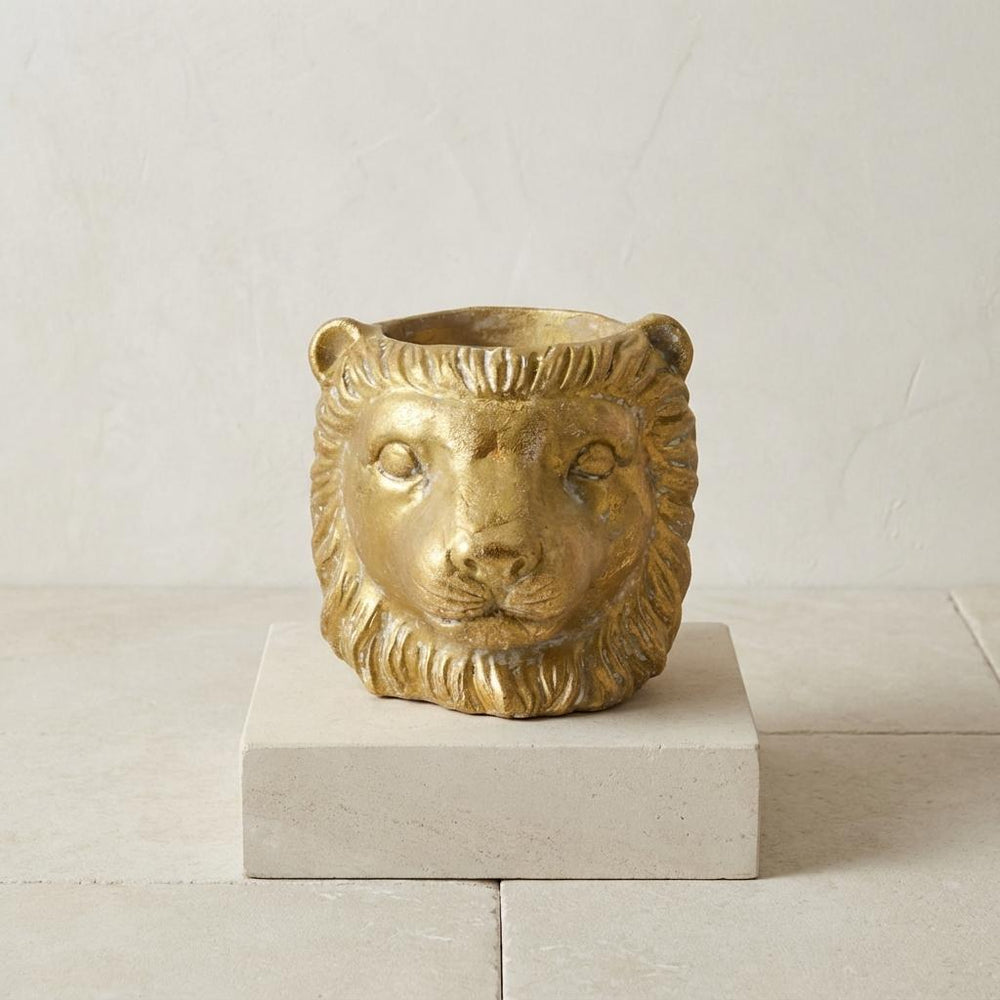 Übertopf Löwe Gold – Ø13cm
