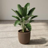 Nature Groove Warm Taupe – Ø17cm