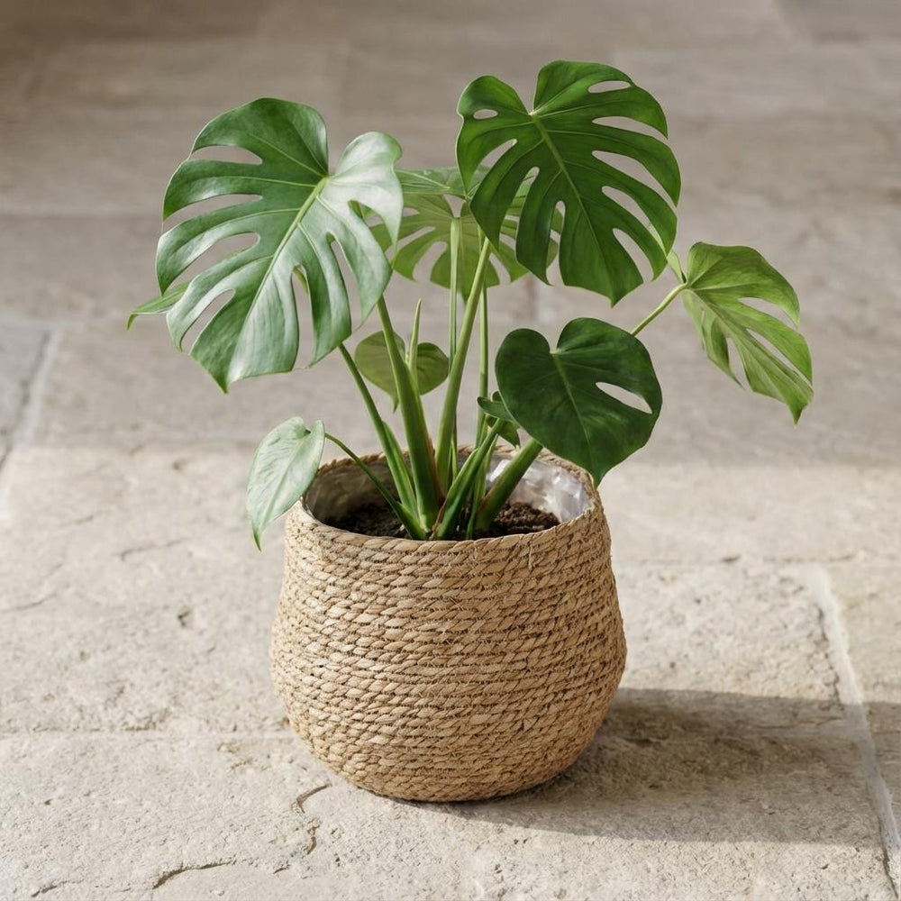 Korb Jorck Braun – Ø26cm